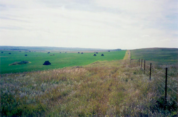 Labs and Sharptails on the North Dakota Prairie